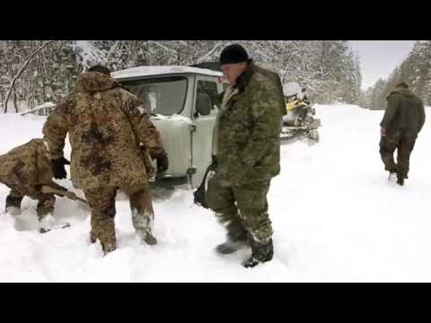 Видео: Хозяева тайга - Махонины