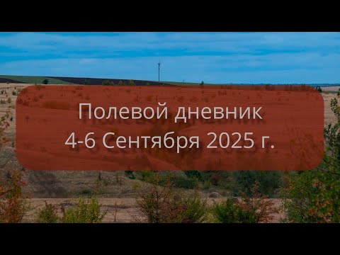 Видео: Полевой дневник. 4-6 Сентября 2025 г.