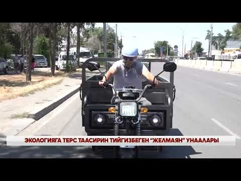 Видео: ЭКОЛОГИЯГА ТААСИРИН ТИЙГИЗБЕГЕН “ЖЕЛМАЯН” УНААЛАРЫ