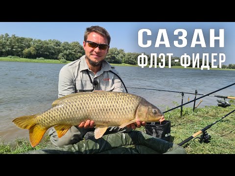 Видео: Трофейный САЗАН и ФЛЭТ- фидер / Юра Лисовский на Нижней Волге.