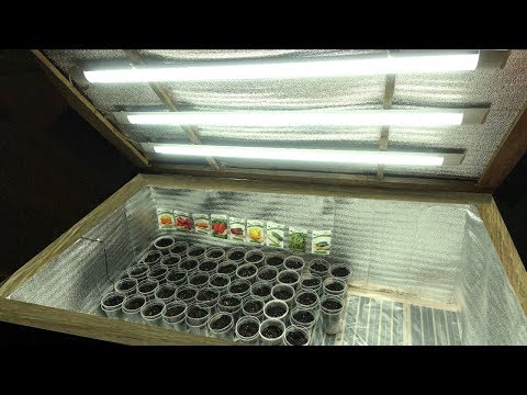 Видео: КЛИМАТ-КОНТРОЛЬ-БОКС ДЛЯ РАССАДЫ  / СЕКРЕТЫ ПРОФЕССИОНАЛЬНОГО ВЫРАЩИВАНИЯ РАССАДЫ