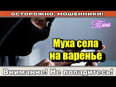 Видео: Мошенники звонят по телефону / Система оператора ( сборник ).