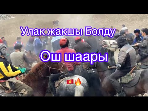 Видео: Бугунку Ынтымак улак Ош шаары🔥🇰🇬