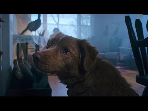 Видео: Ээсинин жанын алганы келген өлүм периштесин көргөн ит...#Санчобекканал#кыргызча#кино