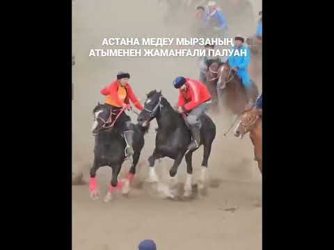 Видео: Көкпар«Жаманғали палуан бөлексің👍👍