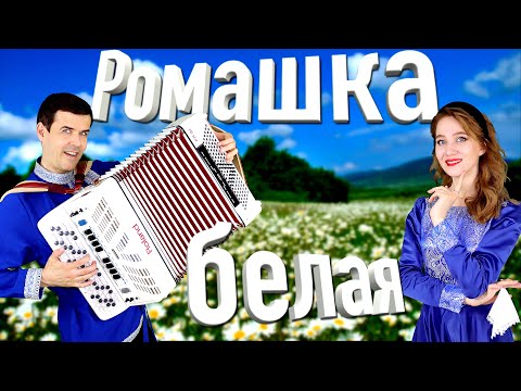 Видео: ❤️БОЖЕ! КАКИЕ КРАСИВЫЕ ГОЛОСА! Ромашка белая.