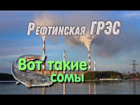 Видео: Рефтинская ГРЭС.Reftinskaya GRES.Reftinsky.Рыбалка.Ловля сома.Asbestos 2020 год #Enel@MineralAs