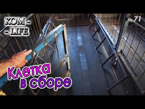 Видео: СДЕЛАЛИ МАТОЧНЫЕ КЛЕТКИ ● СКОРО ОПОРОС