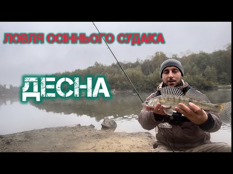 Видео: ДЕСНА ЖИВА! Тестую новий спінінг Crazy Fish VERSUS! Риболовля в місті