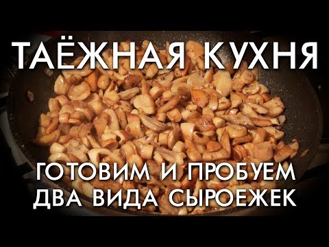 Видео: ТАЕЖНАЯ КУХНЯ / ГОТОВИМ И ПРОБУЕМ ДВА ВИДА СЫРОЕЖЕК / КРАСНЫЕ И ЗЕЛЕНЫЕ СЫРОЕЖКИ