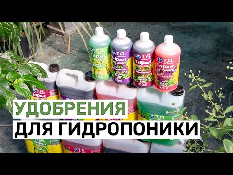Видео: Удобрения для гидропоники