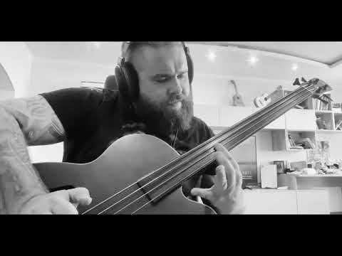 Видео: Браво - Старый Отель - Fretless Bass