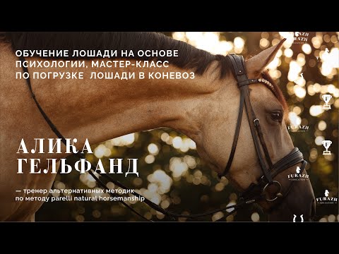Видео: Алика Гельфанд:: Мастер класс по погрузке лошади в коневоз.
