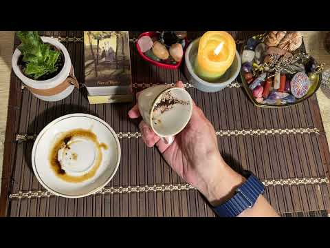 Видео: Чашка дня‼️