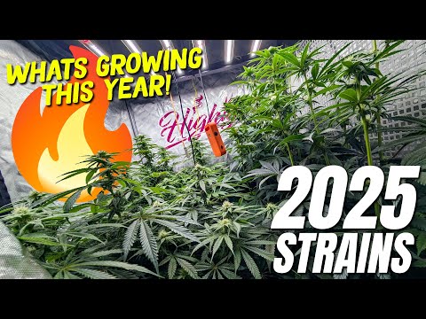 Видео: Пожары в 2025 году набирают обороты УЖЕ СЕЙЧАС!