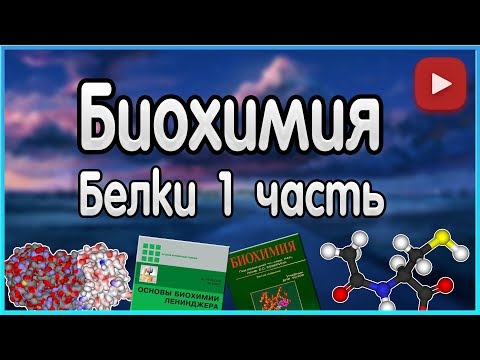 Видео: Биохимия. Лекция 2. Белки. Уровни организации белков. Функции белков.