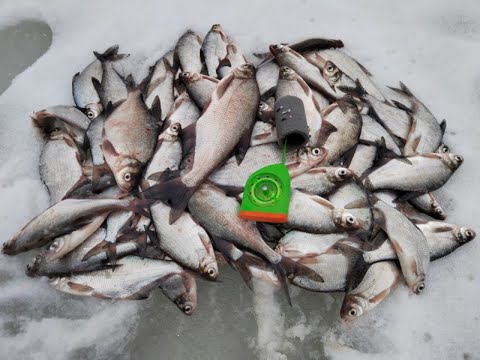 Видео: Гирлянда в деле. Гора рыбы