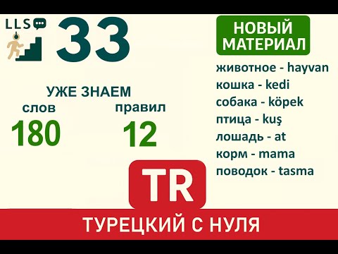 Видео: Урок 33. Новые друзья: Кошка, собака и другие животные