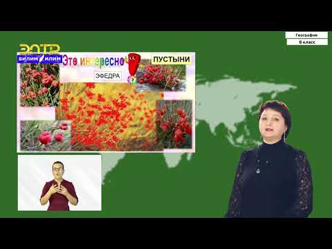 Видео: 8-класс | География | Растительный мир КР