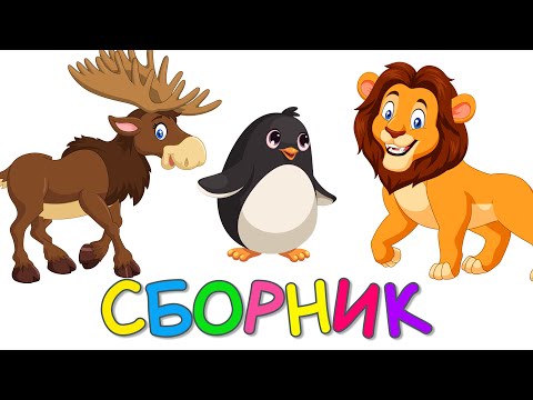 Видео: Сборник - Лесные животные | Зоопарк 2 | Викторина Учим животных -   Развивающие мультики для детей