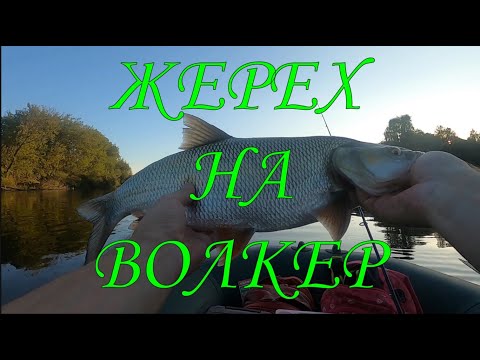Видео: ЖЕРЕХ НА ВОЛКЕР / Супер рыбалка \ #жерех #самодельныеприманки #волкер