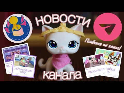 Видео: НОВОСТИ КАНАЛА / Участвую в премии лпсников + объявление о появлении тг канала #lpstubeжив