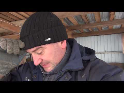 Видео: Электропастух спас наш огород и сад!