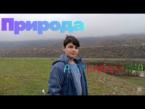 Видео: Гуляем по деревне Азербайджана🇦🇿