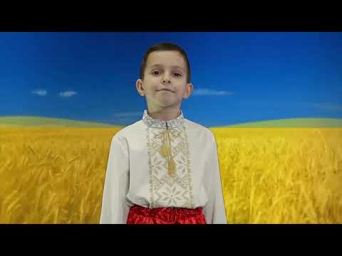 Видео: Борис Цаллагов - Ми маленькі козачата