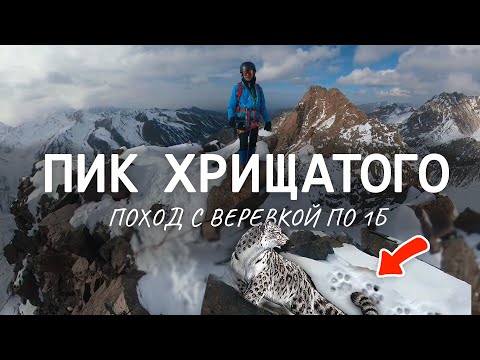 Видео: НАШЛИ СЛЕДЫ СНЕЖНОГО БАРСА | ПОХОД НА ПИК