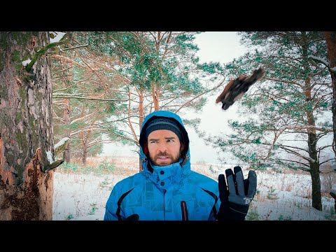 Видео: ЖИЗНЬ БЕЗ СНА