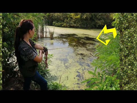 Видео: Находки на поисковый магнит из жуткого болота