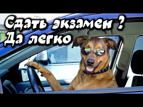 Видео: Кому чаще везёт на экзамене по вождению