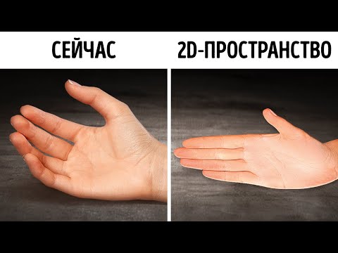 Видео: Как бы вы выглядели в двухмерном мире