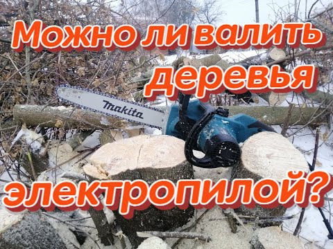 Видео: Можно ли валить деревья электропилой?! МАКИТА  UC 4041 A