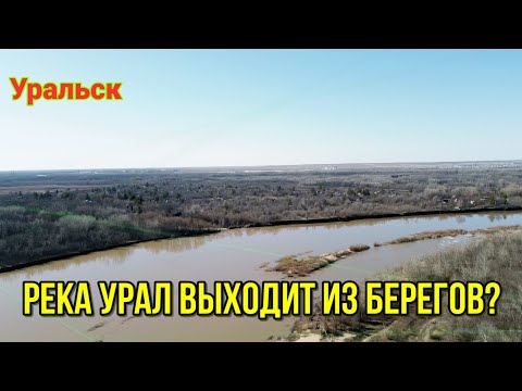 Видео: Река Урал выходит из берегов?