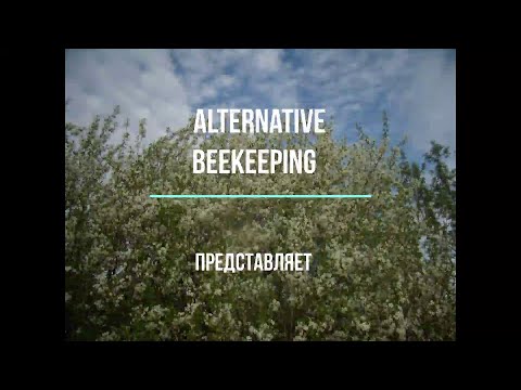Видео: Осенний слёт пчёл. Моя версия.