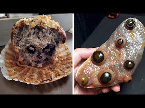 Видео: Фото, от которых становится как-то не по себе (2 серия)