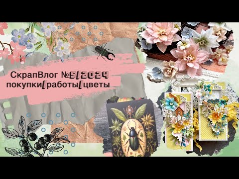 Видео: СкрапВлог №5/2024/ покупки/работы/цветы