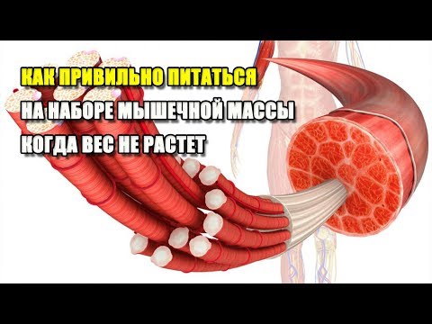 Видео: КАК ПРИВИЛЬНО ПИТАТЬСЯ НА НАБОРЕ МЫШЕЧНОЙ МАССЫ, КОГДА ВЕС НЕ РАСТЕТ
