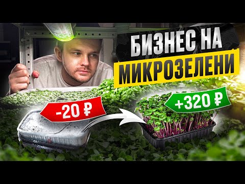 Видео: Открыл БИЗНЕС — за 5.000 ₽. Сколько приносит МИКРОЗЕЛЕНЬ. Бизнес в гараже