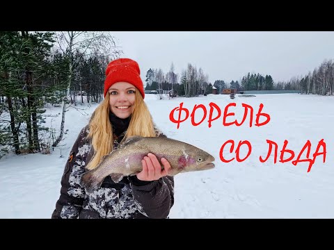 Видео: ЭТИ РЫБИНЫ ДАЛИ ЖАРУ! Зимняя рыбалка на форель со льда.