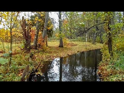 Видео: День осенних листьев. р. Уржумка. д. Уржумка. Марий Эл. 15 октября 2025