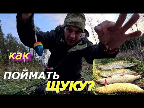 Видео: Как ПОЙМАТЬ ЩУКУ  на поплавок в октябре. Ловля щуки на поплавочную удочку с лодки.