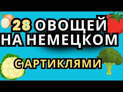 Видео: 🥦Узнайте 28 овощей на немецком языке + множ число и артикль