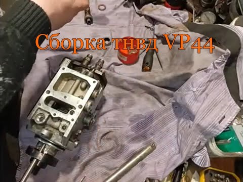 Видео: Сборка тнвд VP44