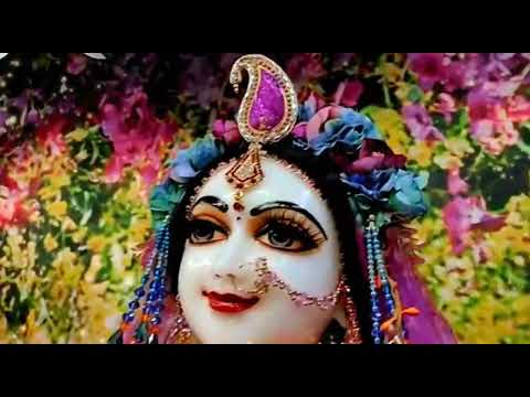 Видео: Радха-Говинда, Омск. 11.02.23