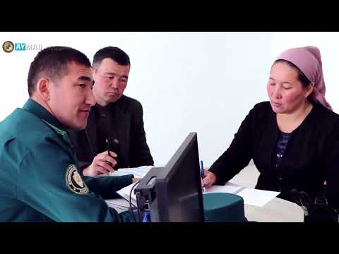 Видео: Тахтакопир Белтау АПЖ