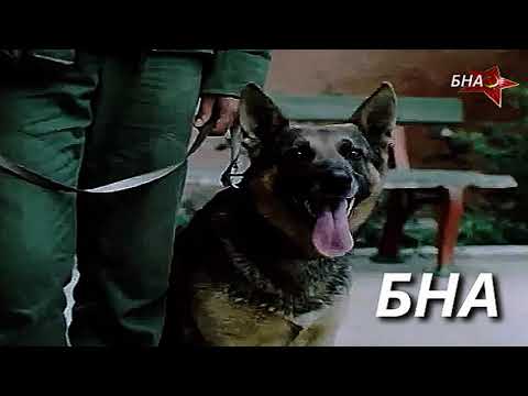 Видео: БНА застава