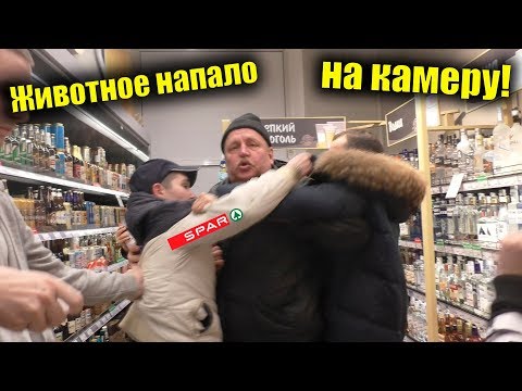 Видео: Синее быдло напало на камеру / Животное в SPARE 2020